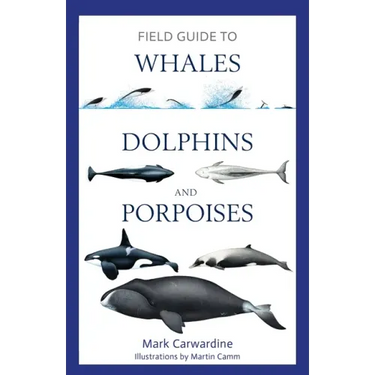 Field Guide to Whales, Dolphins and Porpoises
