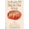 Fire in the Soul: A New Psychology of Spiritual Optimism