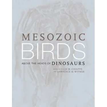 Mesozoic Birds: Above the Heads of Dinosaurs
