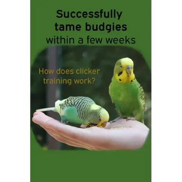 Successfully tame budgies within a few weeks: How does clicker training birds with budgerigars work? A step-by-step guide for budgies taming and parak