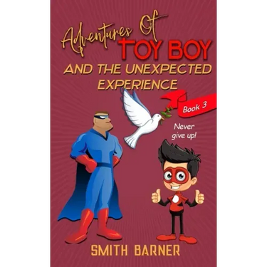 Adventures of Toy Boy and the Unexpected Experience