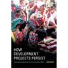 How Development Projects Persist: Everyday Negotiations with Guatemalan Ngos