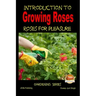 Introduction to Growing Roses - Roses for Pleasure