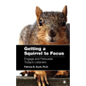 Getting a Squirrel to Focus Engage and Persuade Today's Listeners