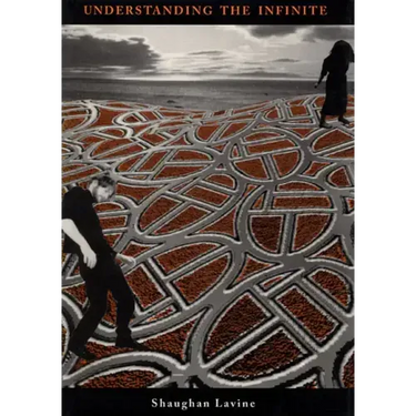 Understanding the Infinite