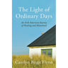 The Light of Ordinary Days: An Irish American Journey of Healing and Homeland
