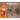 Dear Humans: Humans and chickens are more alike than you may think!