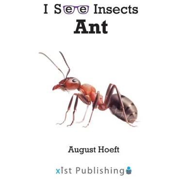 Ant