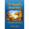The Soul's Journey: A Pre-Life Adventure - Narayan's Preparation for his Next Earthly Life