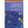The Role of the Pedagogista in Reggio Emilia: Voices and Ideas for a Dialectic Educational Experience