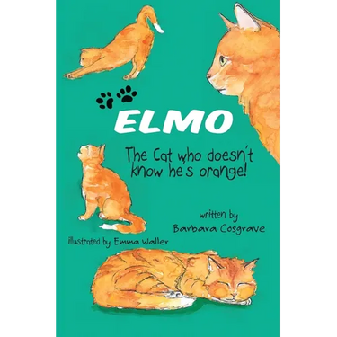 ELMO The Cat who doesn't know he's orange!