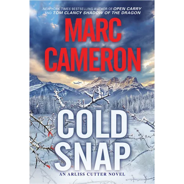 Cold Snap: An Action Packed Novel of Suspense