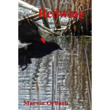 Redwing: Poems by Marvin Orbach