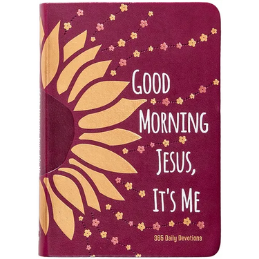Good Morning Jesus It's Me: 365 Daily Devotions