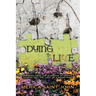 Dying to Live: Emerging from the Darkness of Mental Illness Into the Light of a Sound Mind