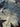 beeb0a98-9c1e-40dd-ad14-b021d6a8917c-Max