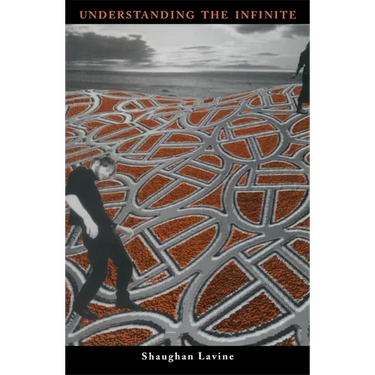 Understanding the Infinite