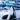 All about Antarctic Orcas
