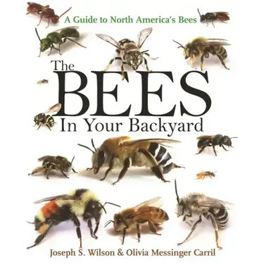 The Bees in Your Backyard: A Guide to North America's Bees