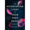 The Astonishing Light of Your Own Being: Powerful Practices to Shape Your Future and Showcase Your Brilliance