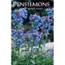 Penstemons