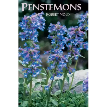 Penstemons
