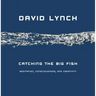 Catching the Big Fish: Meditation, Consciousness, and Creativity