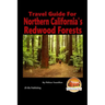 Travel Guide for Northern California's Redwood Forests