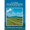 In Their Footsteps: A 500 Year Genealogical Odyssey