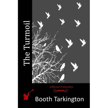The Turmoil