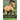 Principles of Conformation Analysis: Equus Reference Guide