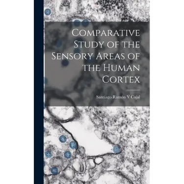 Comparative Study of the Sensory Areas of the Human Cortex