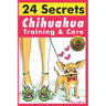 Chihuahua Training & Care: 24 Secrets