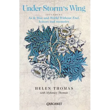 Under Storm's Wing