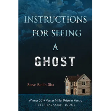 Instructions for Seeing a Ghost