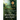The Beautiful Mystery