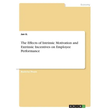 The Effects of Intrinsic Motivation and Extrinsic Incentives on Employee Performance