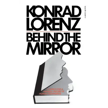 Behind the Mirror