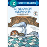 Little Critter Sleeps Over
