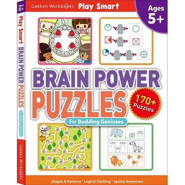 Brain Power Puzzles for Budding Geniuses