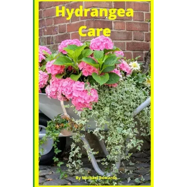 Hydrangea Care: How To Care For Hydrangeas For Beginners - Easy Home Gardening