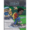 Sometimes I Feel Stormy: A Book About Feelings