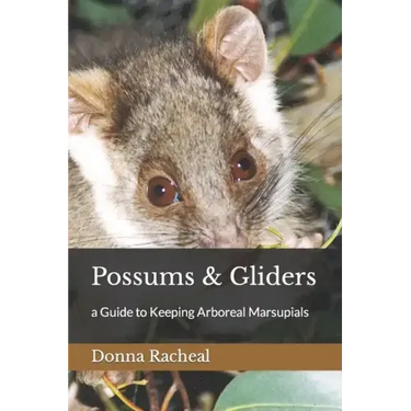Possums & Gliders: a Guide to Keeping Arboreal Marsupials
