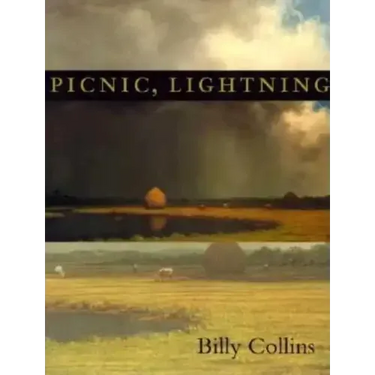 Picnic, Lightning