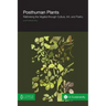 Posthuman Plants: Rethinking the Vegetal Through Culture, Art, and Poetry