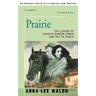 Prairie, Volume I: The Legend of Charles Burton Irwin and the Y6 Ranch