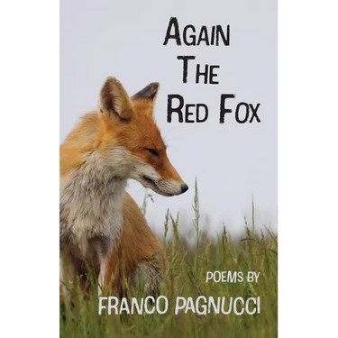 Again The Red Fox