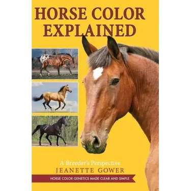 Horse Color Explained: A Breeder's Perspective