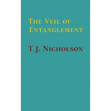 The Veil of Entanglement: Calm Abiding and Insight Practice - An Account of a Journey