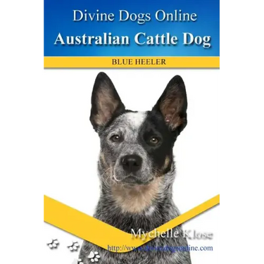 Australian Cattle Dogs: Divine Dogs Online